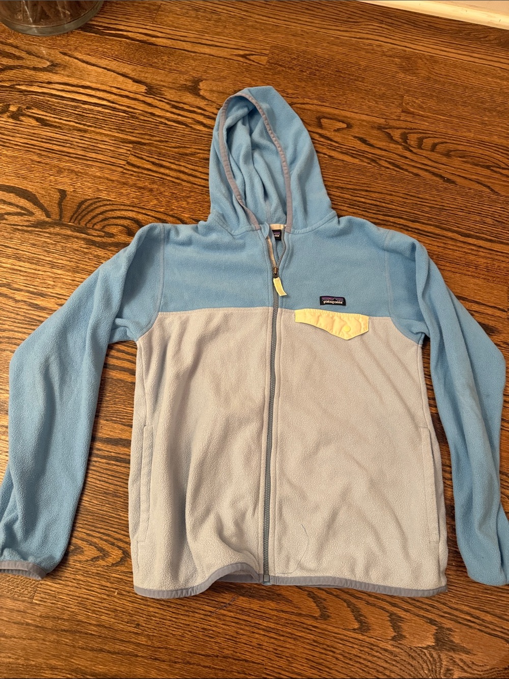 Patagonia Kids Light Blue and Sky Blue Fleece Hoodie Jacket